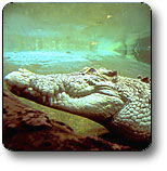 Kakadu National Park - Attractions 1