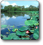 Kakadu National Park - Attractions 3