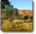 Uluru - Kata Tjuta National Park - Attractions