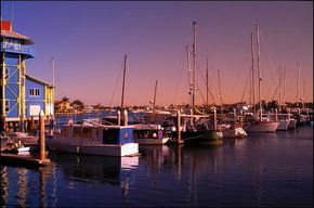 The Wharf Mooloolaba - Attractions 1