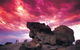 Kangaroo Island Adventure Tour 2 Day/1 Night - thumb 0