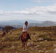 High Country Horses - Attractions