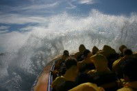 Jetboating Sydney - Attractions 1