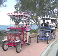 Beach Safaris - Attractions