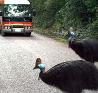 Kookaburra Tours - Attractions