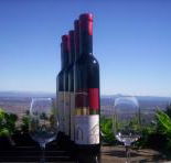 Mount Tamborine Winery  Homestead - Attractions