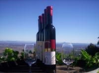Mount Tamborine Winery & Homestead - Attractions 0