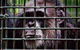 Rockhampton Zoo - thumb 0