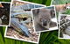 Rockhampton Zoo - thumb 2