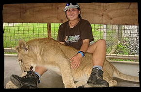 Cairns Wildlife Safari Reserve - Attractions 1