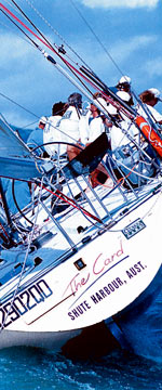 Koala Adventures - Attractions 1