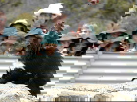 Tasmania Zoo - Attractions 0