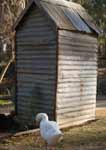 Wagga Wagga Zoo - Attractions 2