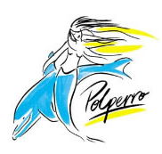 Polperro Dolphin Swims - Attractions