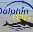 Dolphin Wild - Attractions