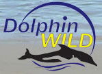 Dolphin Wild - Attractions 0