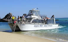 Dolphin Wild - Attractions 2