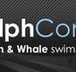 Dolphcom - Dolphin  Whale Swimming Adventures - Attractions