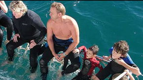Dolphcom - Dolphin & Whale Swimming Adventures - Attractions 2