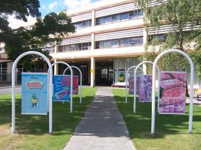 Cadbury Chocolate Factory Tour - Attractions 2