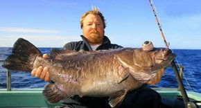 Bravo Fishing Charters - Attractions 0