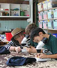 Australian National Botanic Gardens - Attractions 2