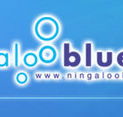 Ningaloo Blue Dive - Attractions