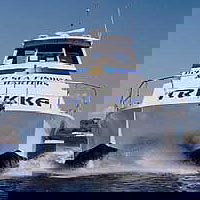 Sunshine Coast Fishing Charters