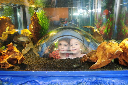 Scitech - Attractions 3