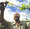 Barossa Experience Tours - Attractions