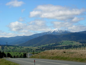 Buller View Wines - Attractions 2