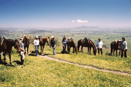 Watsons Trail Rides - Attractions 1