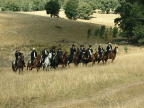 McCormacks Mountain Valley Trail Rides - Attractions 0