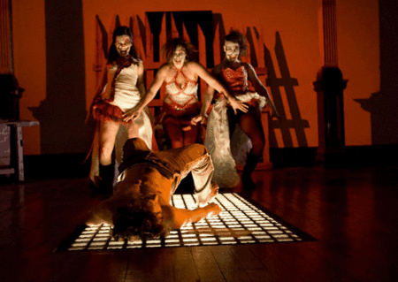 Zen Zen Zo Physical Theatre - Attractions 1