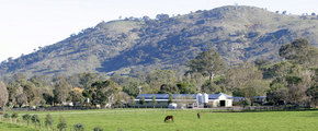 Blue Gum Farm - Attractions 1