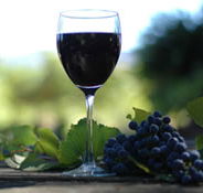 Lion Mill Vineyards - Attractions