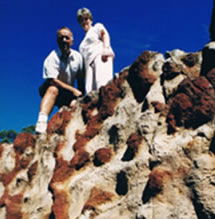 Mystery Craters - Attractions 2