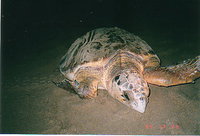 Footprints Adventures