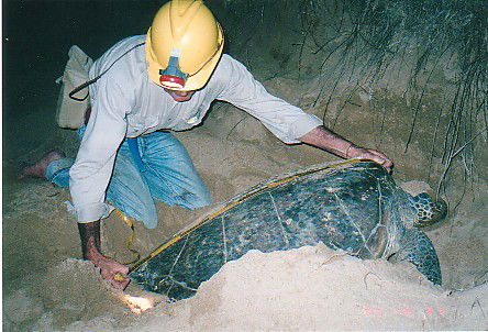 Footprints Adventures - Attractions 2