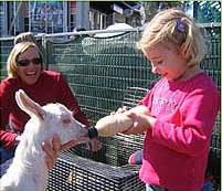 The Sun Herald Sydney Family Show - Attractions 2