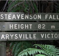 Stevensons Falls - Attractions