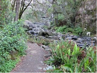 Stevensons Falls - Attractions 1