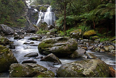 Stevensons Falls - Attractions 2