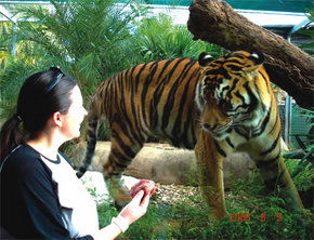 Crocodylus Park - Attractions 1