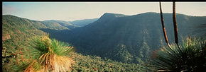 Lamington National Park And OReillys - Attractions 1