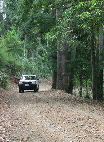 Lamington National Park And OReillys - Attractions 2