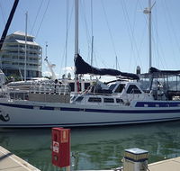 Coral Sea Dreaming Dive and Sail - Attractions