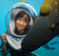 Sunlover Reef Cruises - Attractions