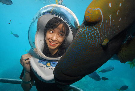 Sunlover Reef Cruises - Attractions 0