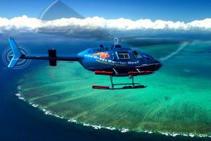 Sunlover Reef Cruises - Attractions 3
